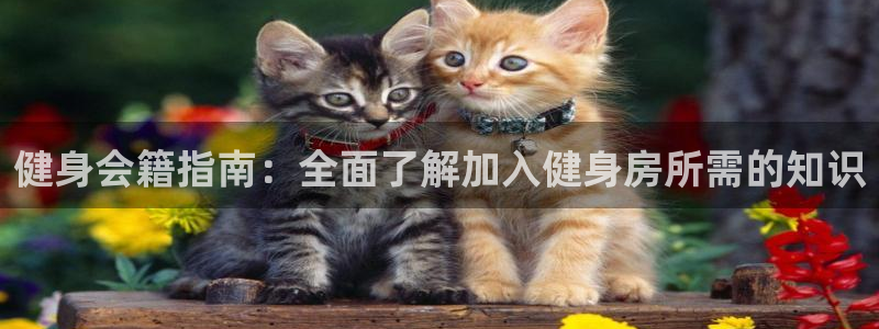 千亿球友会平台