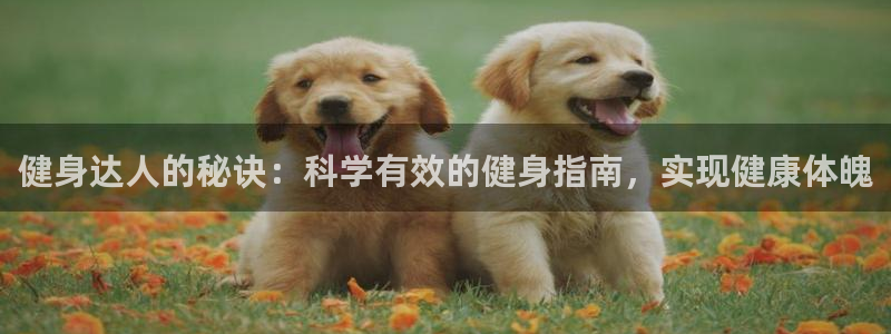 qy球友会官网app下载
