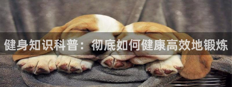 qy千亿球友会app下载
